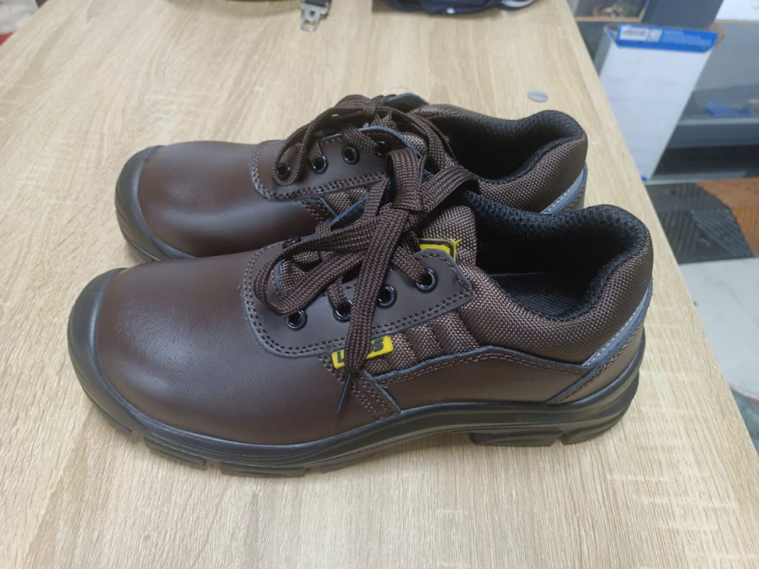 z5775423436850_359a18559bab1dc0d21be692006e1a1b-1067x800-1